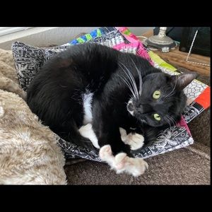 Meet your Posher, Annelle